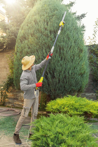 Best Tree Preservation Services  in Gunnison, UT